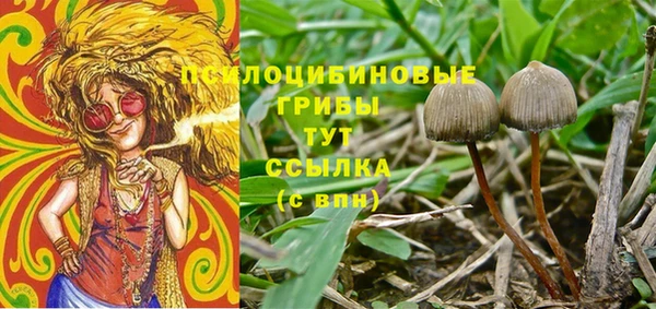 прущая мука Армянск
