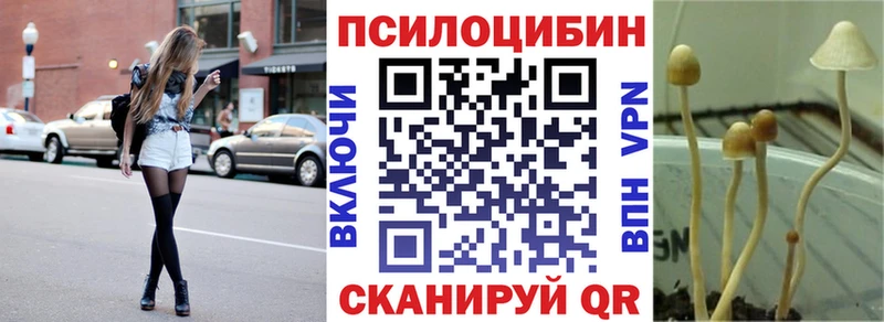 Галлюциногенные грибы прущие грибы  Купить закладки  Моздок 